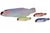 Shabby Chic Hand Painted Chalkware Fish Collection For Sale - Image 3 of 4