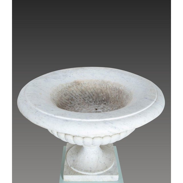 19th Century Italian Marble Tazza Urns, Set of 2 For Sale - Image 4 of 18