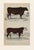 Farmhouse 19th Century English Handcolored Cattle / Cow Engraving by Goldsmith For Sale - Image 3 of 5