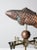 Vintage Copper Fish Weathervane For Sale - Image 10 of 11
