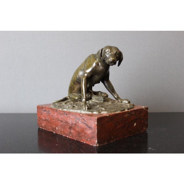 Beige 19th Century Bronze Hunting Dog Figurine For Sale - Image 8 of 14