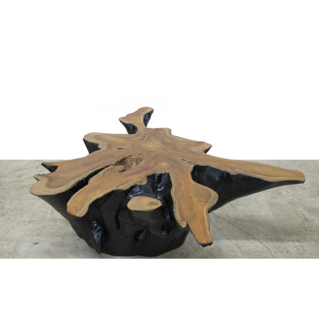 Inspired by the beauty of natural root form, this organic teak accent or coffee table is handcrafted from one piece of...