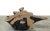 Inspired by the beauty of natural root form, this organic teak accent or coffee table is handcrafted from one piece of...