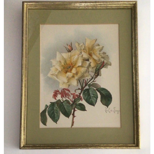 Paul De Longpre 1905 Framed Yellow Roses Lithograph Printed by the Grey Litho. Company, New York For Sale - Image 13 of 13
