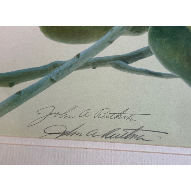 John A. Ruthven "Bluejay" Lithograph- Signed For Sale - Image 11 of 13
