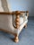 1970s Mid Century Danish Brutalist Henning Kjaernulf Style Oak Lounge Chair For Sale - Image 5 of 7