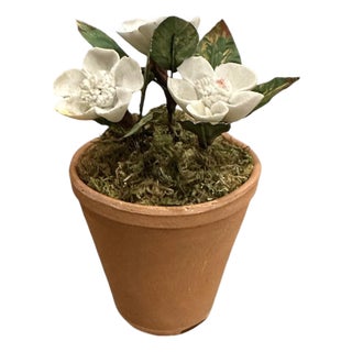Vintage Petite Potted French Porcelain Bisque & Tole White Gardenia Flower / Floral Arrangement in Terracotta Pot For Sale