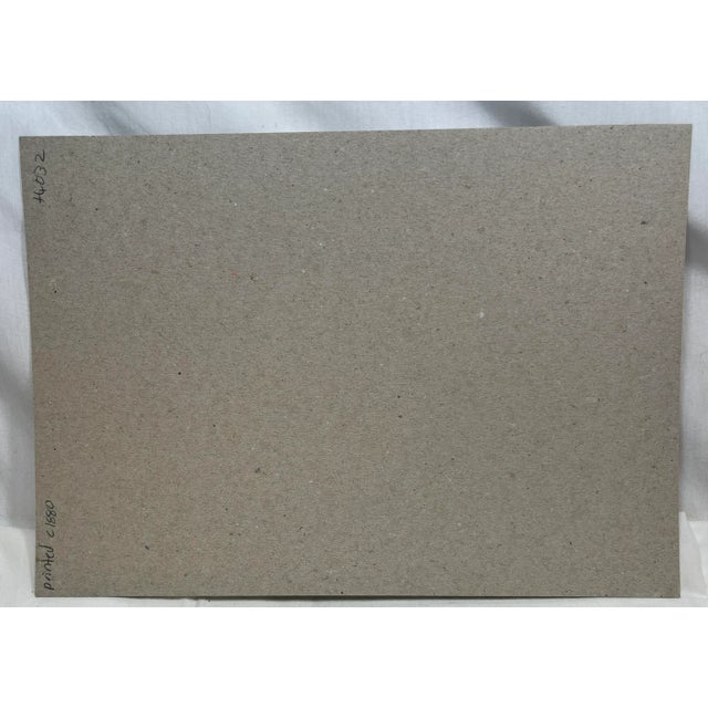 Antique Bird Print From England Showcasing a Majestic Brown Alpine Swift - Circa 1880 For Sale - Image 12 of 12