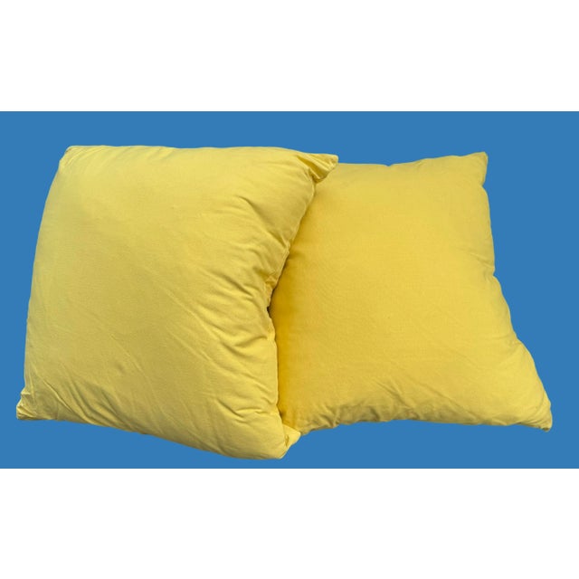 Large Echo Pillows - a Pair. For Sale - Image 4 of 8