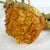 Glass Vintage Pair of Czech Amber Glass Beaded Wall Sconces For Sale - Image 7 of 12