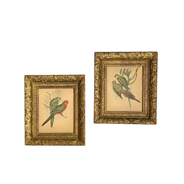 A charming pair of antique J. Gould bird prints, beautifully colored and presented in richly detailed giltwood frames....