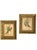 A charming pair of antique J. Gould bird prints, beautifully colored and presented in richly detailed giltwood frames....