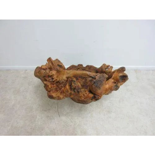 Brown Vintage Mid Century Free Form Live Edge Root Lounge Chair For Sale - Image 8 of 11