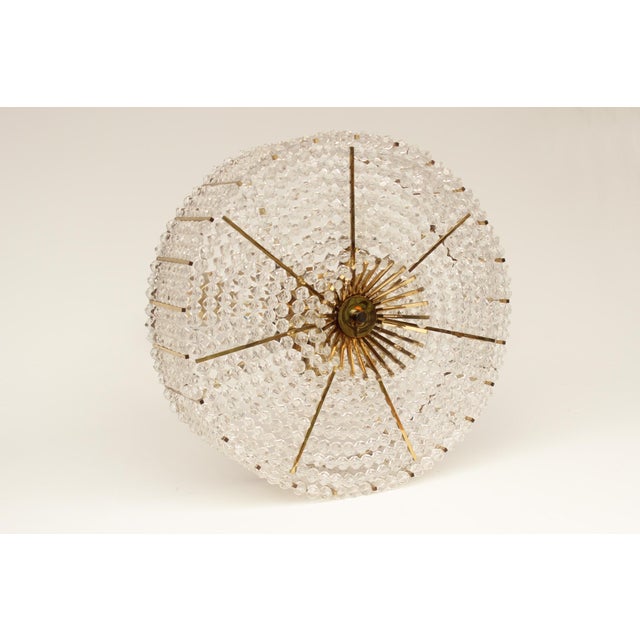 Goldenrod Hollywood Regency Chandelier from Austria, 1960s For Sale - Image 8 of 13