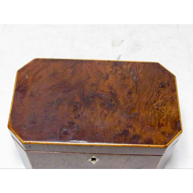 18th Century English Burr Yew Wood Tea Caddy For Sale - Image 9 of 17