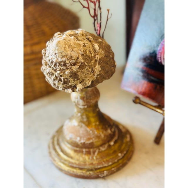 Coastal Sea Fan Shell Art on Italian Gold Gilt Base For Sale - Image 3 of 10