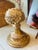 Coastal Sea Fan Shell Art on Italian Gold Gilt Base For Sale - Image 3 of 10