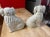 Pair of Antique Decorated Staffordshire Dogs, Circa 1860's For Sale - Image 12 of 15