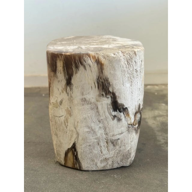 W13 D13 H16 Single petrified stool that has both wooden and stone components. This unit was originally wood that has been...