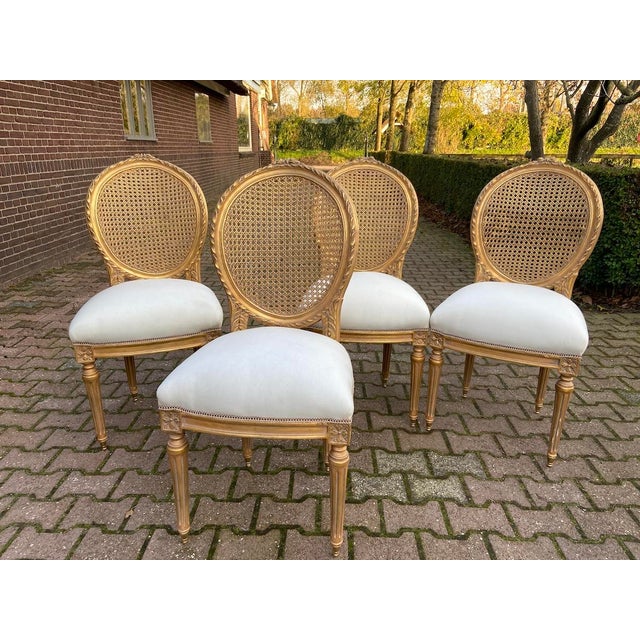 1970s French Louis XVI Gold Beech Cane Dining Chairs – 4 PCS For Sale - Image 10 of 18