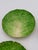 Ceramic Late 19th Century Eb Napoli Italian Majolica Lettuceware Plates - Set of Four For Sale - Image 7 of 16
