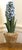 Tommy Mitchell Tole Potted Hyacinth For Sale - Image 10 of 11