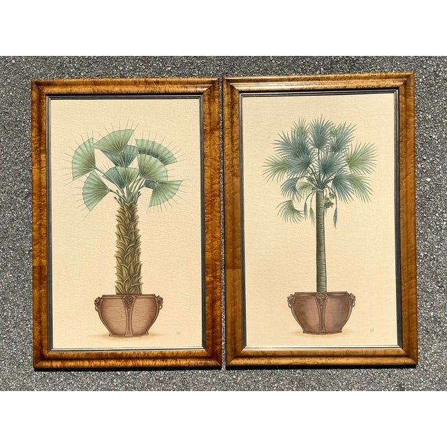Vintage Coastal Palm Printed - A Pair For Sale - Image 4 of 12