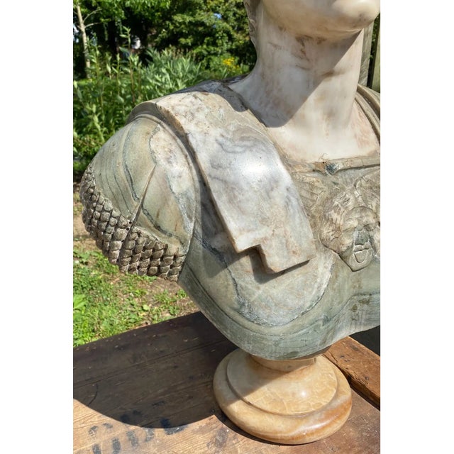 19th Century 19th Century Italian Neoclassical Style Specimen Marble Busts of Caesars - Set of 2 For Sale - Image 5 of 10