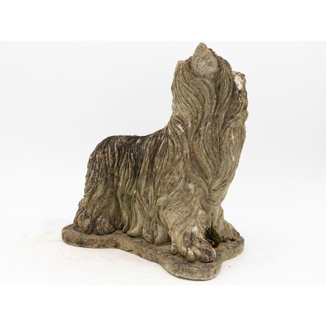Sculpture Materials Vintage Dog Yorkshire Terrier Concrete Garden Ornament For Sale - Image 7 of 8