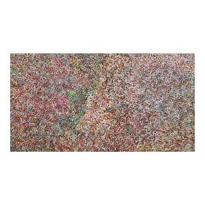 Large Aboriginal Contemporary Painting Bush Plum by Polly Ngale