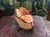 Victorian Settee, Cameo Back Loveseat For Sale - Image 9 of 9