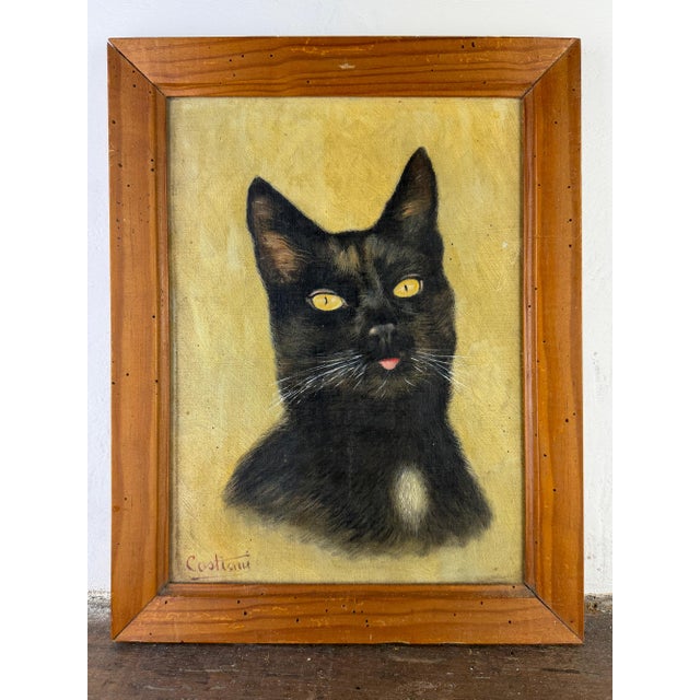 Cat Portrait, 1920s, Oil Painting on Panel, Framed For Sale - Image 3 of 14
