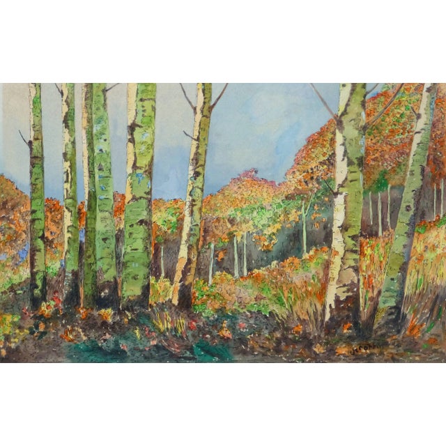 1960s J. Rottin, Vintage Watercolor Landscape - Birch Grove For Sale - Image 5 of 5