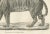 19th-century lithograph of the majestic striped or royal tiger this captivating 19th-century lithograph features the...