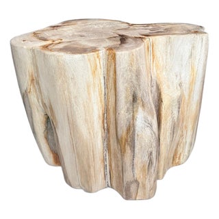 Andrianna Shamaris Impressive High Quality Ancient Petrified Wood Side Table For Sale