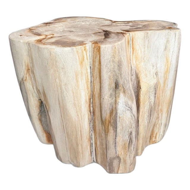 Andrianna Shamaris Impressive High Quality Ancient Petrified Wood Side Table For Sale