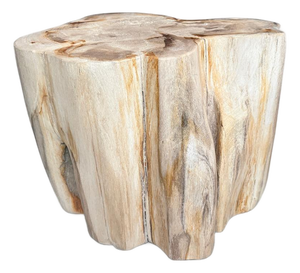 Andrianna Shamaris Impressive High Quality Ancient Petrified Wood Side Table