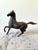 Vintage Bronze Galloping Horse Sculpture For Sale - Image 4 of 5