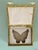 Antique Cloisonné Enamel Butterfly Trinket Box For Sale In Los Angeles - Image 6 of 11