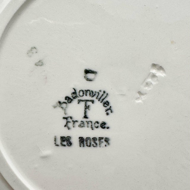 Blue Soup Plates with Les Roses Pattern from Badonviller, 1950s, Set of 9 For Sale - Image 8 of 9