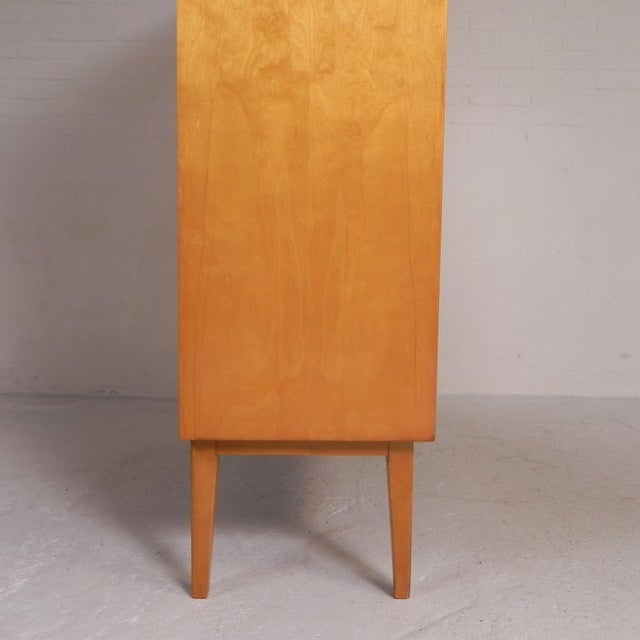 Belgian Birch Display Cabinet For Sale - Image 13 of 18