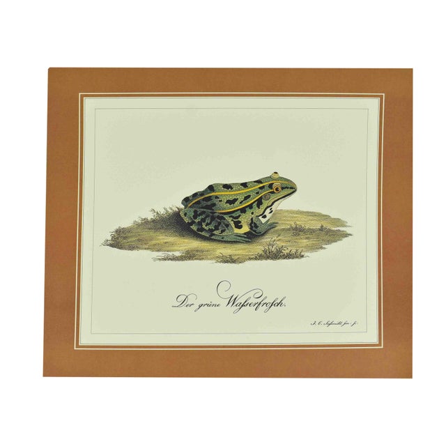 Add a touch of old world naturalism to your gallery wall with this charming set of three reproduction prints. Inspired by...