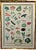 Spruce up your kitchen with this charming newly framed garden vegetable print. Bright, colorful, and full of life, this...