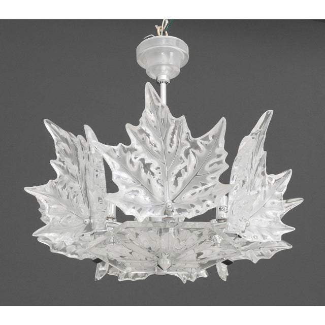 Mid 20th Century Lalique Champs-Elysees Chandelier For Sale - Image 5 of 16