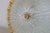 Glass 1980s Italian Yellow Large Size Murano Glass Ceiling Fixture, Murano For Sale - Image 7 of 8