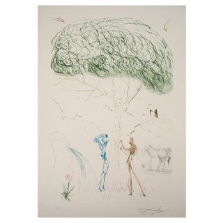 Salvador Dali, Under the Umbrella Pine, 1970, Original Etching For Sale