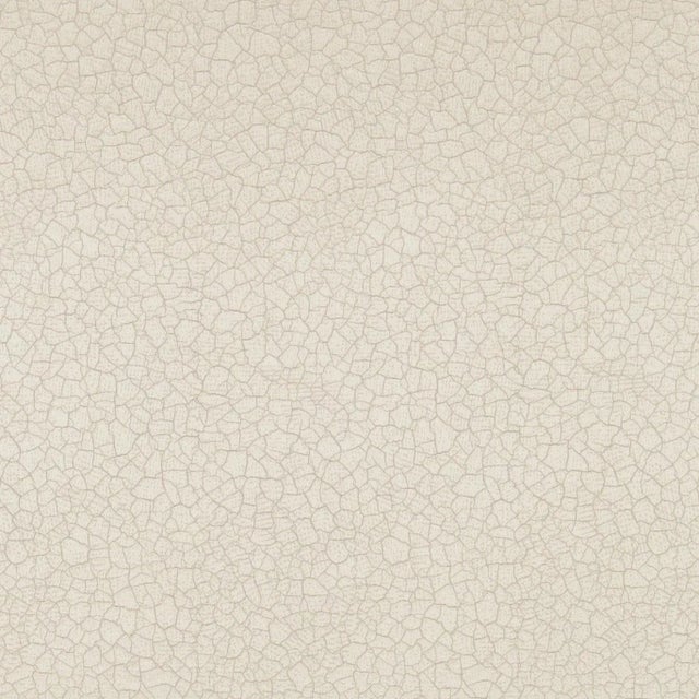 Zoffany Crackle Fabric in Ivory For Sale