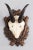 A fine antique chamois antler horns hunting trophy on a hand carved black forest plaque. The plaque is hand carved with...