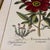 Large Botanical Original Lithographs Vibrant Color in Gold Gilt Frames Set of 2 Red Floral For Sale - Image 4 of 13
