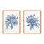 Banksia Bouquet Prints, Set Of 2 For Sale